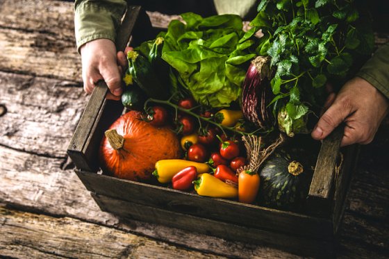 /media/12113/bio_shutterstock