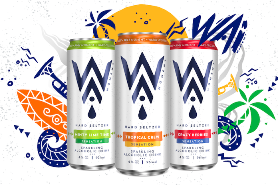 /media/16960/wai-vizuál