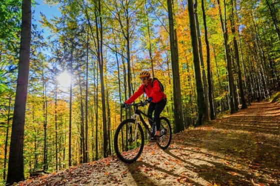 /media/20422/kolo_shutterstock