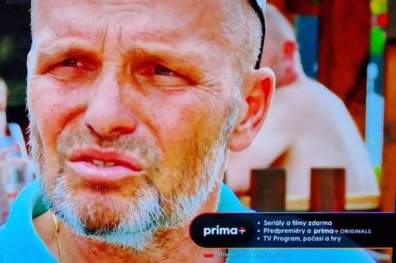 /media/23810/prima-plus-hbbtv-2