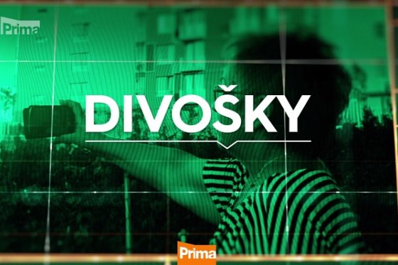 /media/12639/divosky