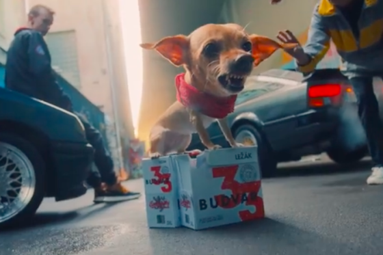 /media/12646/budvar33