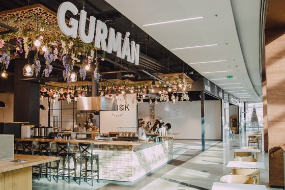 /media/18944/gurmán-harfa_1