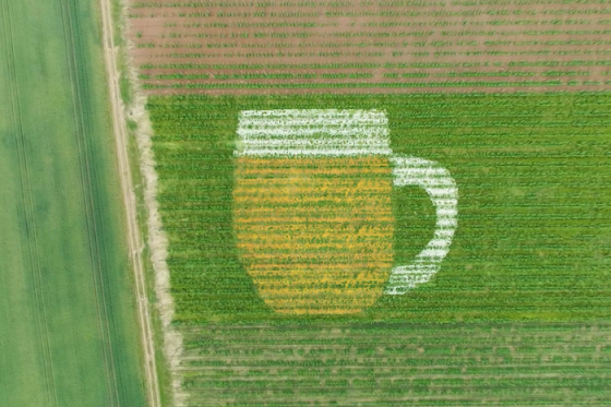 /media/25192/plzenskyprazdroj_obri-pullitr-z-kytek