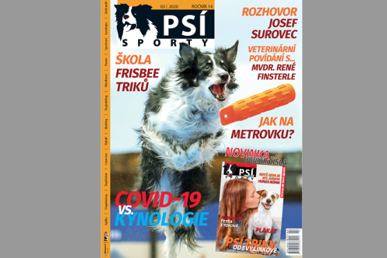 /media/12772/psi-sporty