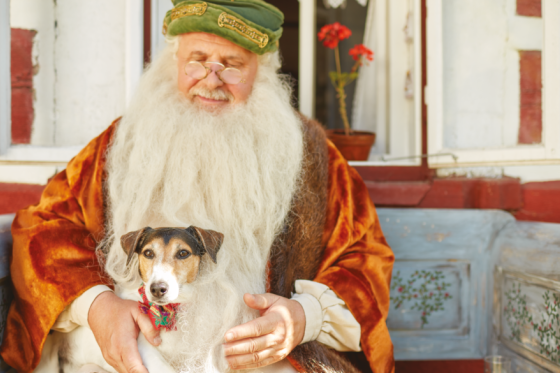 /media/14477/kampan_seznam