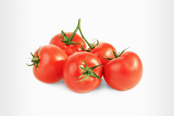 /media/16290/socr_rajcata