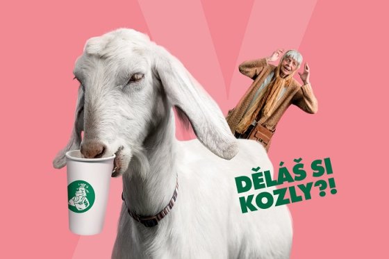 /media/25705/ma_aktualita_2023-06_kozly_2000x1333px