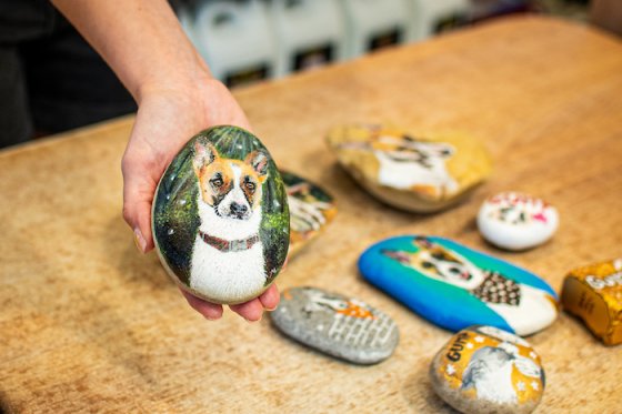 /media/25513/superzoo_gump