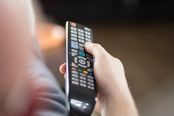 /media/25700/tv-divak-vyber_pixabay