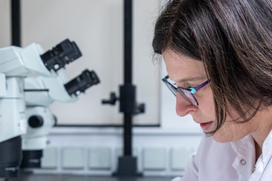 /media/gfcknz3z/slider_loreaparis