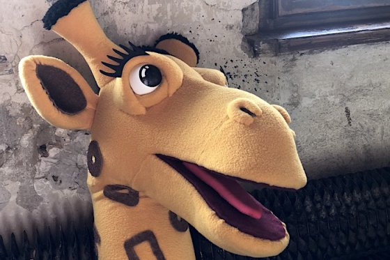 /media/11665/zonky_2