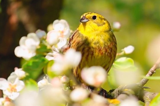 /media/18657/spp-cista_energia