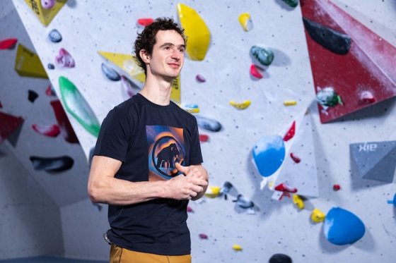 /media/cnfeamf2/adamondra