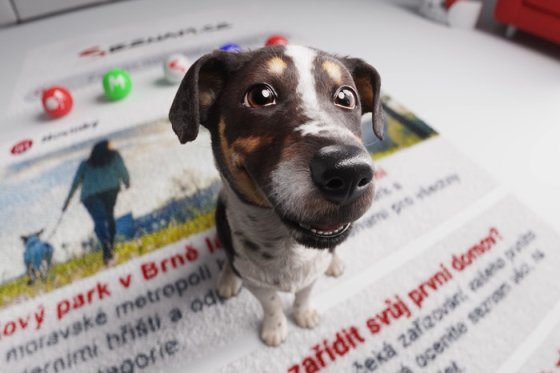 /media/liuf0ewm/seznam_kampan