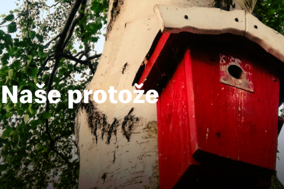 /media/16605/mcdonalds_naseprotoze