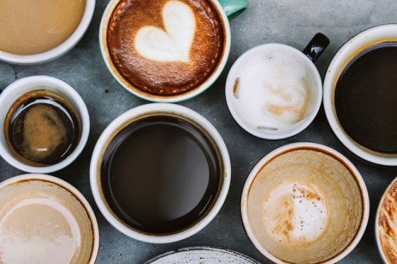 /media/19622/kava_shutterstock