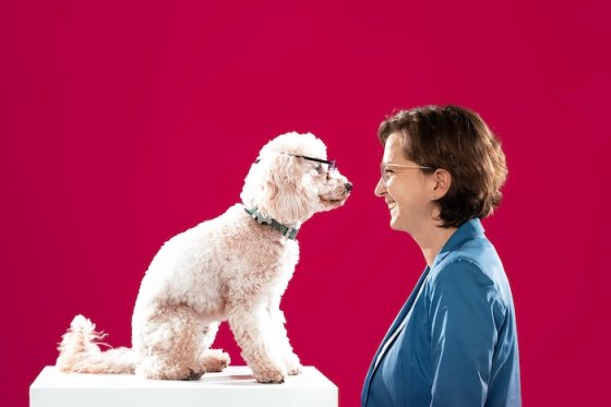 /media/23706/fokusoptik_2023