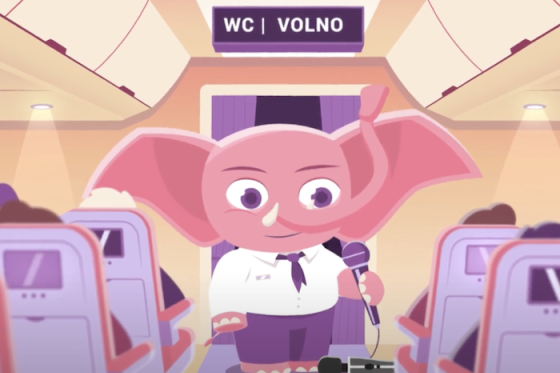 /media/25322/ruzovyslon_letoplnevibraci