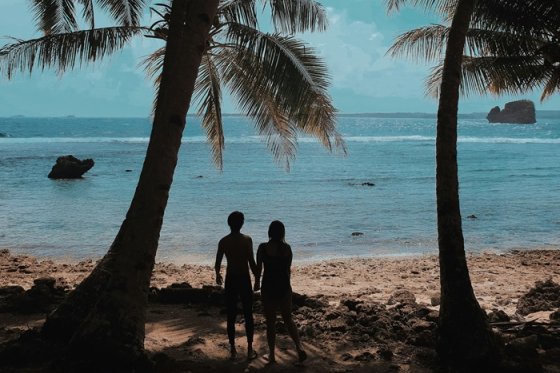 /media/2tmakezf/tropic-seznamka_unsplash