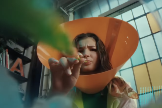 /media/133jlebb/garnierfructis