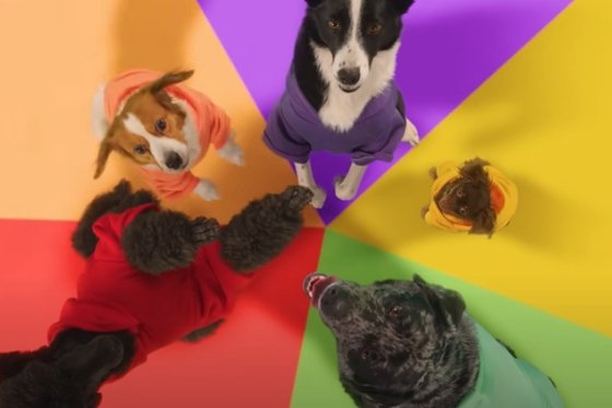 /media/ck2nu1c0/louie