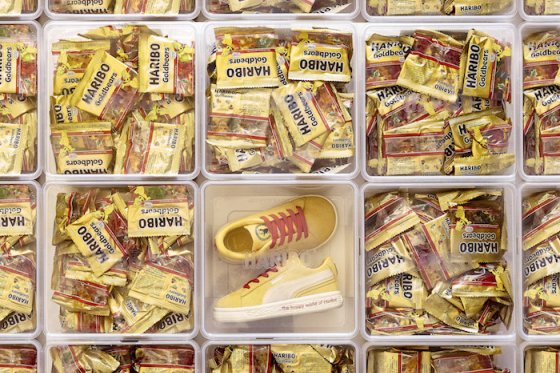 /media/17389/pumaharibojpg