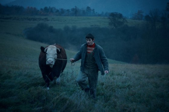 /media/23750/levis_reklamatydne