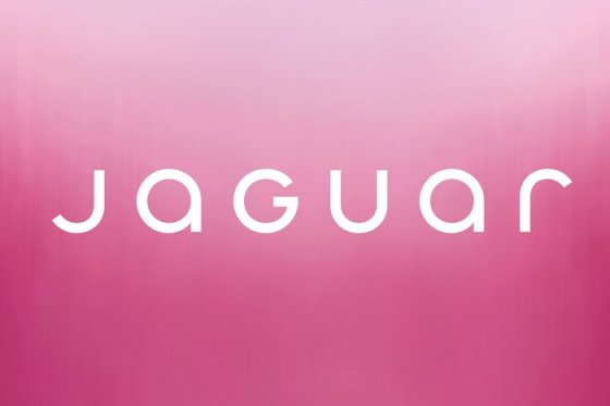 /media/ubsgccge/jaguar_newlogo