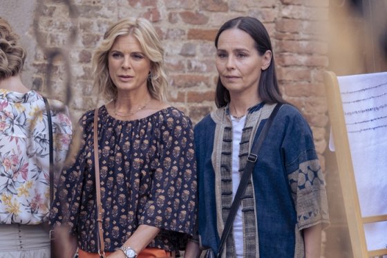 /media/fl3puawe/signora-volpe_ct