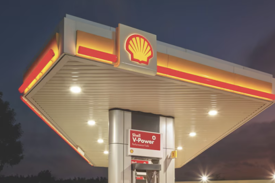 /media/drpo4zjo/shell