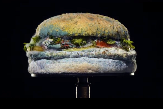 /media/15268/epica_whopper