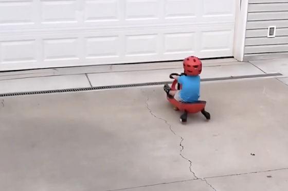 /media/24786/dontdrinkanddrive