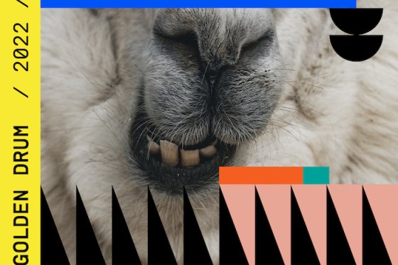 /media/19818/28gd_rebuilding-connection_2