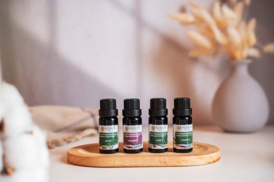 /media/zrddp2qb/nobilistilia_novavizualniidentita