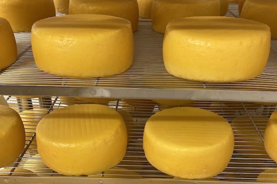 /media/qp5hjvjp/madeta