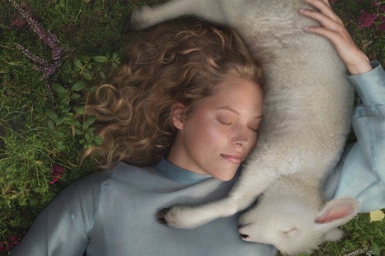 /media/16420/tento_rebranding_slider