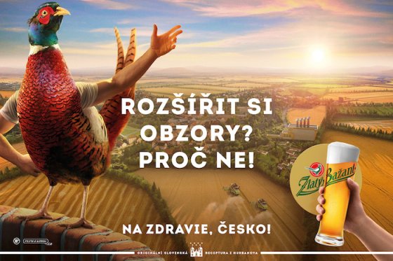 /media/16675/zlatý-bažant_klíčový_vizuál_kampaně_2