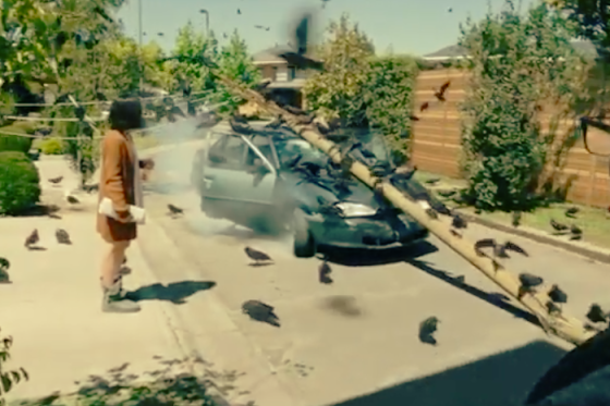 /media/19760/tropicana