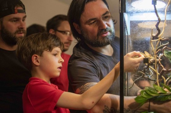 /media/20953/kukačky-ii-b-a-arichtev