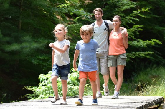 /media/24971/penny_hhc