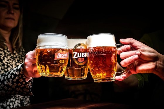 /media/26681/zubr_litovel_holba_3-čepovana-piva