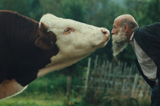 /media/gpmpz0zn/radeji-zesilet-v-divocine