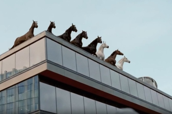 /media/sz1ducty/reklama-tydne_kone