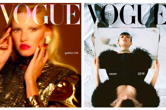 /media/11615/vogue_obalky