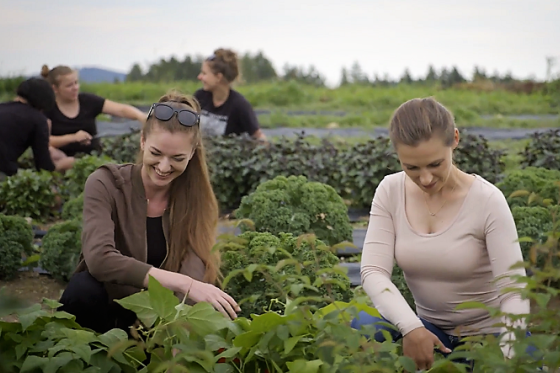 /media/15322/milionar-mezi-nami