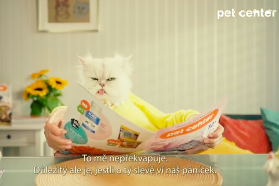 /media/17604/petcenter_spot