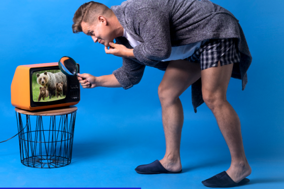 /media/18226/telly_slider