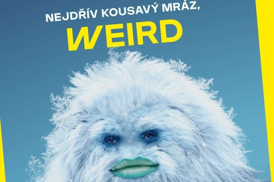 /media/z3dm5ve0/bat_weirdly-wonderful_yetti_ilustr_vizual_slider