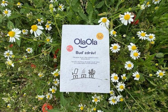 /media/jqwnxtho/olaola-přáníčko